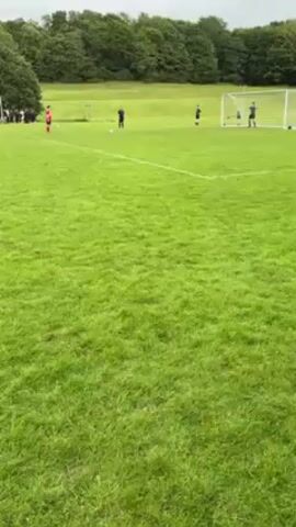 Here is a concise description of the video:

The video shows a soccer penalty kick being taken on a grassy field. There are several players on the field, with one player in red preparing to take the kick. A goalkeeper stands in front of the net. A man watches the kick. The player kicks the ball into the goal and they celebrate. The field is surrounded by trees.