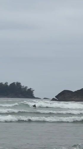 Surfer paddles through choppy waters near Tofino on overcast evening