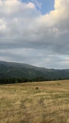 The video shows a wide shot of a grassy hill with a line of trees in the middle distance, beyond which are rolling, forested hills and mountains. The sky is partly cloudy with patches of blue sky visible. The grass in the foreground is dry and golden. There are no people or animals visible in the video.