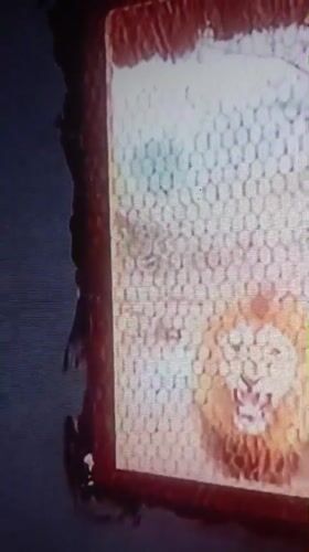Wildlife digital art recorded on screen in Nkpor