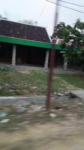 The video displays a blurred, side-view motion capture of a rural or suburban landscape. The footage appears to be taken from a moving vehicle, possibly a car. The initial frames show a glimpse of a building with a metal roof and some vegetation, suggesting an outdoor setting. As the video progresses, the view shifts to include trees, possibly banana trees, and a dirt path or road. The lighting suggests it might be daytime, though the sky is overcast. There are no discernible people or specific actions taking place, and the overall impression is that of a fleeting observation of an unexceptional environment.