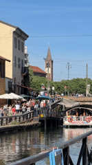 Tourist boats, wildlife, vendors capture Milan canal life