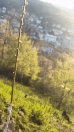 Spring afternoon moments captured across Zlatograd, Bulgaria