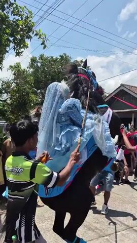 A horse adorned with a light blue, sparkly veil and costume walks down a street. A young person in a green and yellow shirt guides the horse. A crowd of people watches the horse and rider. The sky is blue with scattered clouds. Palm trees and buildings line the street.