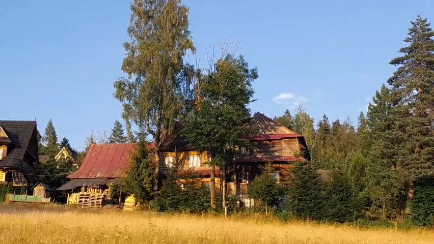 The video shows a long shot of a cluster of wooden houses situated in a rural, wooded environment. The houses are rustic in appearance, with weathered wood and red-tiled roofs. Some of the structures appear older and more dilapidated than others. They are surrounded by a mix of trees, including tall, slender deciduous trees and dense evergreen conifers. In the foreground, a field of dry, golden grass stretches across the lower portion of the frame. The sky above is a clear, bright blue with a few wispy white clouds. The lighting suggests it is daytime, possibly late afternoon, with the sun casting long shadows and illuminating the scene with a warm glow. There are no people visible in the frame, nor any distinct actions taking place. The overall impression is one of a quiet, secluded rural setting.