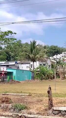 A panning shot captures a rural landscape with a cluster of houses visible in the background. The houses appear to be of simple construction, many with white or light-colored roofs. The area is surrounded by lush greenery, including palm trees and banana plants. In the foreground, a dry, grassy field dominates the scene, with a weathered tree stump standing in the center. A stone wall runs along the bottom of the frame, suggesting a slight elevation change or boundary. Power lines are visible in the sky, indicating the presence of infrastructure. The sky is bright and blue with some clouds, suggesting a sunny day. There are no people or animals clearly visible in the footage.