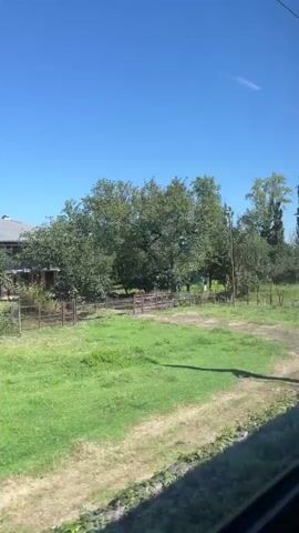 The video shows a rural landscape with a clear blue sky. A two-story house with a dark roof and a wrap-around porch is visible in the background, surrounded by lush green trees and vegetation. A dirt path or road runs through the foreground. A single tree with a dense canopy stands in a grassy area to the right of the house. A utility pole with markings is also present. The overall scene depicts a peaceful, natural environment on a sunny day, likely captured from a moving vehicle due to the slight motion blur.