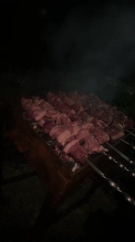 Evening barbecue session documented in Gardabani, Georgia
