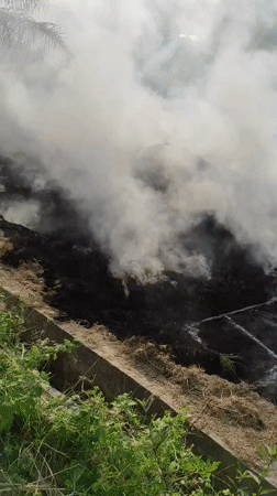 Rice field fire burns in Lhokseumawe, Indonesia
