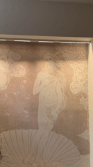 Botticelli Venus mural spotted on Budva wall