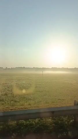 The video is a vertical shot of a rural landscape at sunrise. The sun is a bright, hazy orb low in the sky, casting a warm glow over a field of green and yellow vegetation. A thin layer of mist hovers over the field, creating a soft, diffused light. A metal railing runs across the bottom of the frame, suggesting the viewpoint is from a vehicle or a raised platform. In the distance, a line of trees forms the horizon, silhouetted against the bright sky. A single wooden pole stands in the field, a solitary vertical element in the otherwise horizontal landscape. The overall impression is one of peace and tranquility, a serene morning scene.