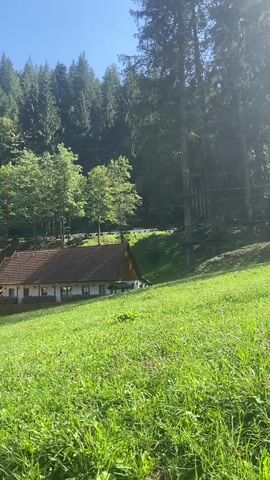 The video pans across a grassy hillside with a forest in the background. A small, rustic house with a brown roof is situated on the lower part of the slope. A red car is parked in front of a covered outdoor seating area adjacent to another building. Trees and a rope adventure course are visible in the forested area behind the house. The sky is blue with some scattered clouds.