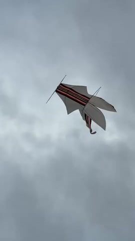 A traditional kite with white and red stripes is seen flying against a cloudy sky. The kite has a distinct shape with two wing-like extensions on each side. It is tethered by a thin line that stretches upwards and out of frame. The kite appears to be in motion, with its wings slightly angled. The sky is overcast, with soft grey clouds filling the background. The perspective is from below, looking up at the kite.