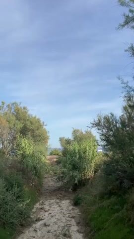 The video begins by showing a sandy path leading through dense green vegetation and trees. The path appears to be a walking trail. The sky above is blue with scattered white clouds. The camera pans to the right, revealing a large tree with green and brown foliage. A wooden railing or fence is visible in the foreground. The video then transitions to a view of a dirt path lined with pine trees. There are trash bins to the left and a wooden bench to the right. In the background, there are more trees and some vehicles, suggesting a park or camping area. A red car is parked among the trees.
