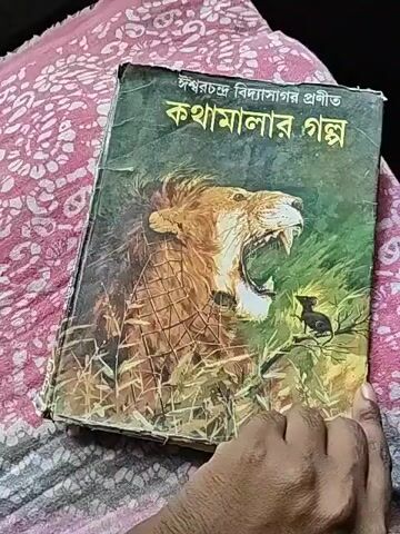 The video shows an open book lying on a patterned fabric. The book's cover features a drawing of a lion roaring with its mouth open and a small black creature sitting on a branch in front of it. The text on the cover is in a language other than English. The video then flips through several pages of the book. The pages contain illustrations and text, also in a non-English language. One illustration shows two people, one holding a rifle. Another shows a bird of prey perched on a tree branch, with two small birds below it. A hand is visible in the video, turning the pages of the book. The fabric appears to be a blanket or throw. The lighting suggests an indoor setting.