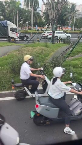 The video shows a congested street scene with multiple people riding scooters and motorcycles. In the foreground, a person in an orange shirt and a white helmet is riding a scooter. To their right, a person in a white outfit and a white helmet is on a scooter. Further back, a person in a white polo shirt and a yellow helmet is riding a white scooter. Another person in a dark shirt and white helmet is also on a scooter. In the background, there are cars and a truck on a multi-lane road. The environment appears to be urban, with palm trees and buildings visible. The road surface is wet, suggesting it might have rained recently. The overall atmosphere is one of traffic congestion and everyday urban life.