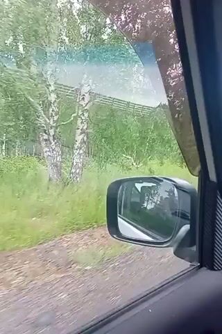 A POV shot from inside a car driving on a dirt road. The car is moving through a sparsely wooded area with tall green grass on either side of the road. The sky is bright blue with scattered white clouds. The interior of the car is visible, including the dashboard, side mirror, and windshield. The road ahead is visible, winding through the trees. The video is dark and grainy.