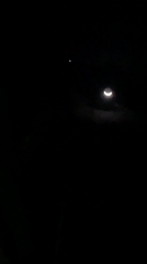 Nighttime botanical and celestial observations documented in Kiblawan, Philippines
