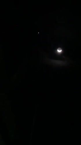 Nighttime botanical and celestial observations documented in Kiblawan, Philippines