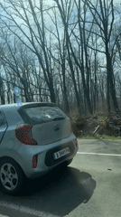 Car accident damages silver vehicle on Primorsko forest road
