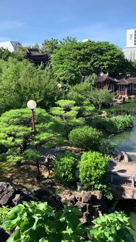 The video pans across a traditional Chinese garden on a sunny day. In the foreground, lush green foliage is visible. A stone bridge arching over water is prominent, with a railing. Beyond the bridge, a serene pond reflects the sky. Scattered throughout the garden are various trees, meticulously pruned shrubs, and at least two small, traditional Chinese-style buildings with dark tiled roofs and red accents. A lamppost with a white globe stands near a cluster of trees. In the background, modern buildings rise above the garden's greenery, indicating an urban setting. The sky is clear and blue with a few wispy clouds. The overall scene is tranquil and picturesque.