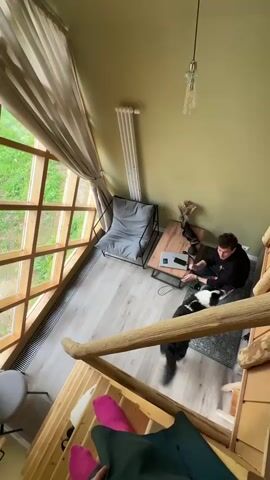 Here is a description of the video:
The video shows a loft-style room. A person with pink socks and a green garment is on a wooden staircase, looking down into the room. The room has a large, diamond-patterned window. A man in a black hoodie sits on the floor near a coffee table with a laptop on it. A black and white dog lies next to him. There is also a gray chair, a radiator, and a pendant light fixture. The walls are a pale green color.