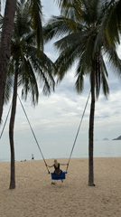 Palm tree swing on a Nha Trang beach, early July
