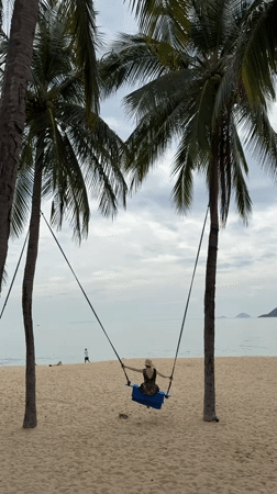 Palm tree swing on a Nha Trang beach, early July
