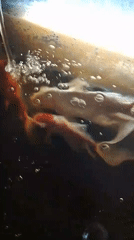 Koi fish circling a dark tank in Aceh