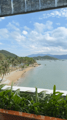 Morning coastal documentation captures Nha Trang scenery and goldfish pond