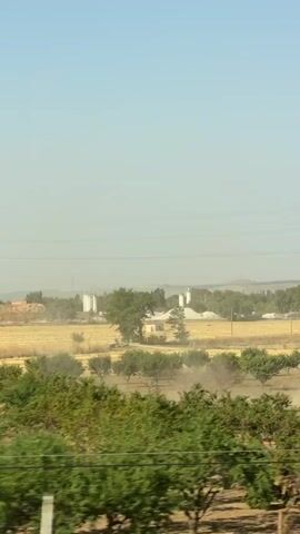 The video shows a rural landscape under a clear blue sky. In the foreground, there are rows of green trees, possibly an orchard. Beyond the trees, there is a field of dry, golden crops, likely wheat or barley. In the middle ground, a tall electrical tower with red and white markings stands prominently. Further in the distance, there are some white silos or storage buildings, and more scattered trees and vegetation. The overall impression is of a sunny, agricultural area. There is a vertical blur across the center of the frame, which may be an artifact from the recording process or a partial obstruction.