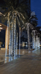 Night scenes captured: illuminated promenade, angel wings pose, Burj Khalifa