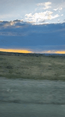 Green landscape filmed from moving vehicle in rural Russia
