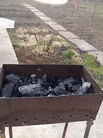 Outdoor barbecue gathering documented in Chaikovsky, Russia