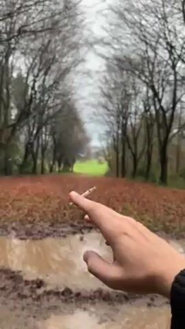 The video begins with a close-up of a hand holding a lit cigarette in an outdoor setting. The background features a muddy path covered with fallen leaves, bordered by trees on both sides, creating a visual tunnel leading to a distant green field under an overcast sky. The smoke from the cigarette drifts into the scene. The video then transitions to an upward angle view of a building with classical architectural features. Tall, fluted columns support an ornate frieze and cornice. The walls are paneled, and the overall color palette is beige.  The camera appears to be panning slightly upward.