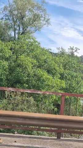 A panning shot from a bridge shows a river flowing through a lush, green valley. The riverbanks are lined with trees and foliage, and a hillside covered in dense forest rises in the background. The sky is blue with scattered white clouds. The bridge railing, made of weathered metal, is visible in the foreground.