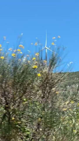 The video shows a large, white wind turbine on a green, tree-covered hill under a clear blue sky. The camera appears to be moving, suggesting it was taken from a moving vehicle. The turbine blades are turning.