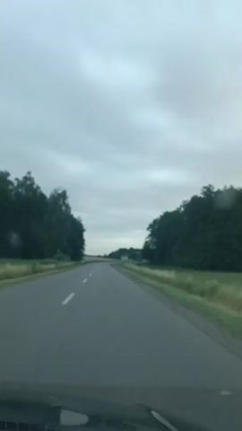 The video shows a forward-facing view from inside a vehicle driving on a paved road. The road has a solid white line on the left and broken white lines in the middle, indicating two lanes of traffic. The road curves gently to the right. On both sides of the road, there are dense green trees. Beyond the trees on the right, there is a field with dry grass and some scattered buildings in the distance. The sky is overcast with grey clouds. The time stamp indicates the video begins at 00:00 and ends at 00:04.