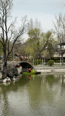 Morning activities at Yerevan dinosaur park captured by witnesses