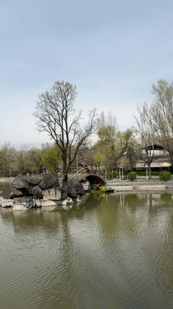 Morning activities at Yerevan dinosaur park captured by witnesses