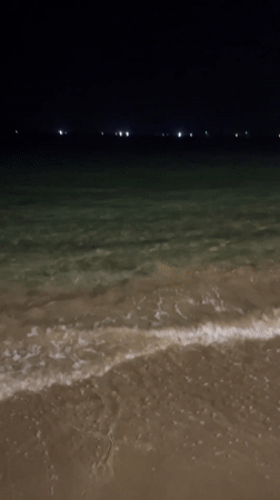 Family Beach Day Documented in Bắc Nha Trang Vietnam