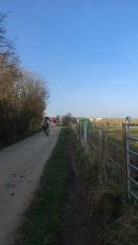 The video shows a horse standing near a metal gate, numbered "33", in a field on a sunny day. The camera pans to show a brown horse, then to another gate numbered "34". Through the gates, a field with patchy grass and visible dark soil is seen, with other horses grazing in the distance. The sky is clear and blue. The overall environment suggests a rural or agricultural setting, likely a horse farm or pasture.