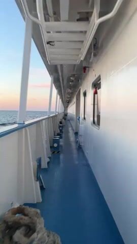 A  person walks down a narrow walkway on the side of a ship. The walkway has a blue floor and white railings. The sea is visible on the left, and the sky is a pale pink and blue. The ship's white wall is on the right, with several windows. The camera is moving forward, indicating the person is walking. Several blue bollards are visible along the walkway. Some lights and safety equipment are mounted on the ceiling and walls.