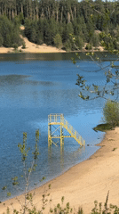 Lakeside gathering documented near Kazan amid scenic pine forest setting