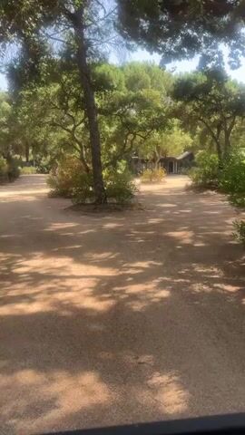 This video showcases a tranquil, sun-dappled pathway winding through a lush, green landscape. The path itself appears to be made of gravel or packed earth, with dappled sunlight filtering through the dense canopy of trees overhead, creating a beautiful play of light and shadow.

The setting is a park or natural area, with mature trees featuring gnarled branches and abundant foliage. Various shrubs and bushes line the sides of the path, adding to the verdant atmosphere. In the distance, glimpses of buildings or structures can be seen nestled amongst the trees, suggesting a park with amenities or perhaps a small village.

At the 00:02 mark, two bicycles are visible parked alongside the path, hinting at recreational activity. The overall mood is peaceful and serene, with the natural beauty of the surroundings being the primary focus. The bright sunlight suggests it is daytime, likely a pleasant and clear day.

While no people are directly visible in action, the presence of the bicycles implies human activity in the area. The location context of Grândola, Portugal, suggests a Mediterranean or sub-Mediterranean climate, which aligns with the mature trees and abundant greenery seen in the video. There is no visible text in the video.
