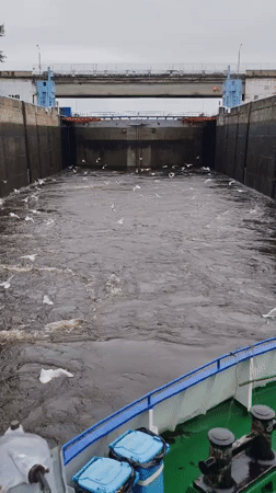 River traffic documented during overcast morning in Bol'shie Mkhi