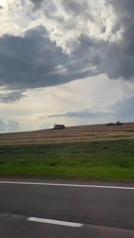 A red combine harvester is visible in a wheat field under a cloudy sky. The video is taken from a moving vehicle, likely a car, as indicated by the blurred foreground of a road and green grass. The combine is actively harvesting the wheat, leaving behind rows of cut stalks. The landscape appears rural and agricultural, with a wide expanse of fields stretching towards the horizon. The lighting suggests it is daytime, possibly late afternoon or early evening, given the diffuse light filtering through the clouds.