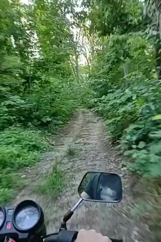 This is a first-person perspective video of someone riding a motorcycle on a dirt path through a dense forest. The trees are tall and leafy, creating a canopy that filters the sunlight, suggesting it is daytime. The path is uneven, with visible rocks and tire tracks. The rider is wearing a helmet, and a portion of the motorcycle's handlebars and dashboard is visible at the bottom of the frame, including a speedometer. The environment is lush and green, with thick foliage on either side of the path. The overall mood is adventurous and immersive, capturing the experience of navigating a natural trail. There is no visible text in the video.