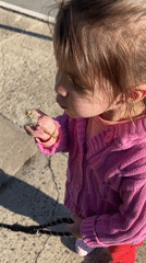 Child and dandelion captured in sunny Newburgh street scene