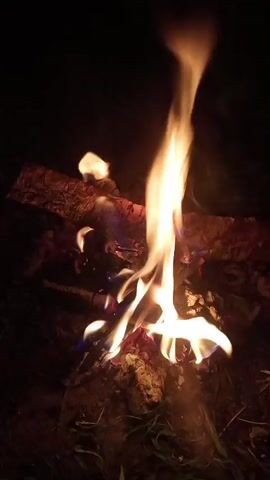 A close-up shot shows a campfire at night. The flames are a bright yellow and orange, licking at logs of wood. The background is dark, creating a sense of intimacy and focus on the fire. The logs appear to be rough and textured, suggesting they are natural wood. The fire is casting a warm glow on the surrounding area, which appears to be outdoors. The camera is still, capturing the dynamic movement of the flames.